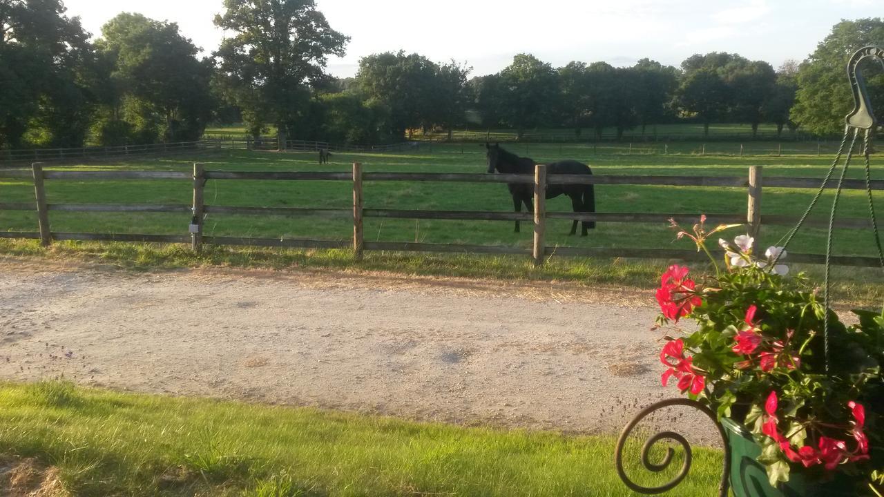 Les Gites Haras Del Paradiso Boitron Exterior photo