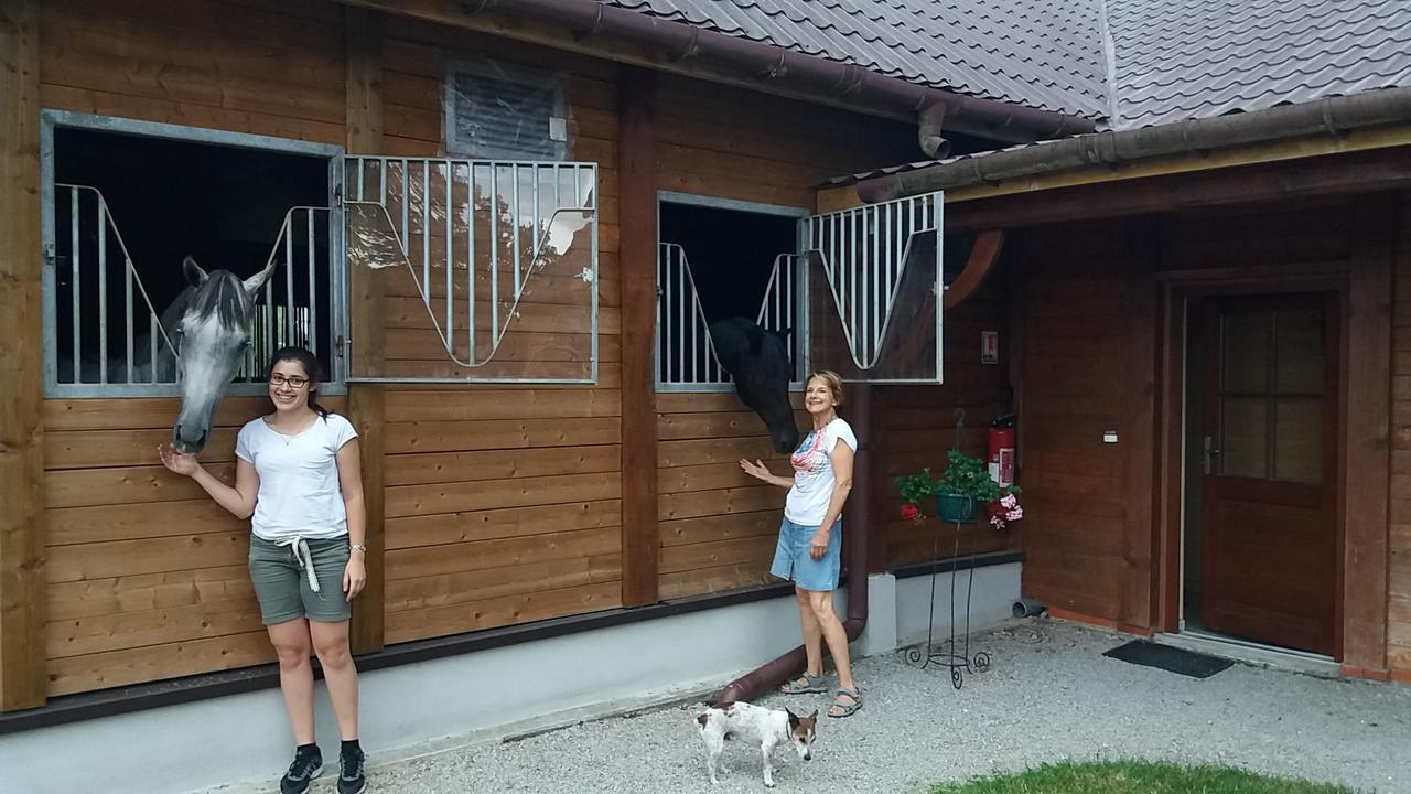Les Gites Haras Del Paradiso Boitron Exterior photo