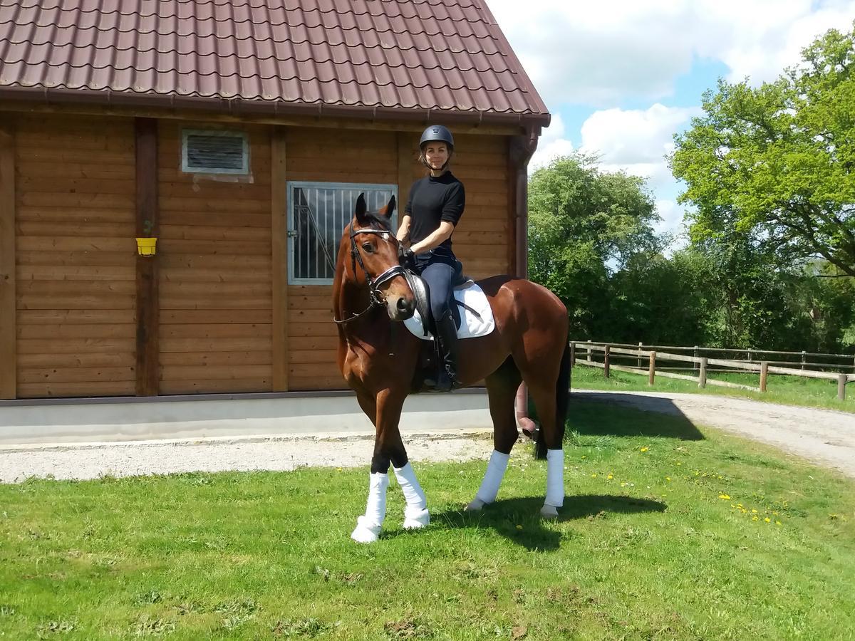 Les Gites Haras Del Paradiso Boitron Exterior photo